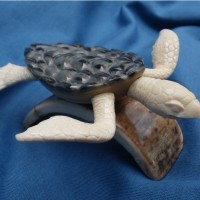 seaturrtle3a