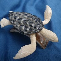 seaturtle3b