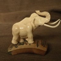 littlemammoth1